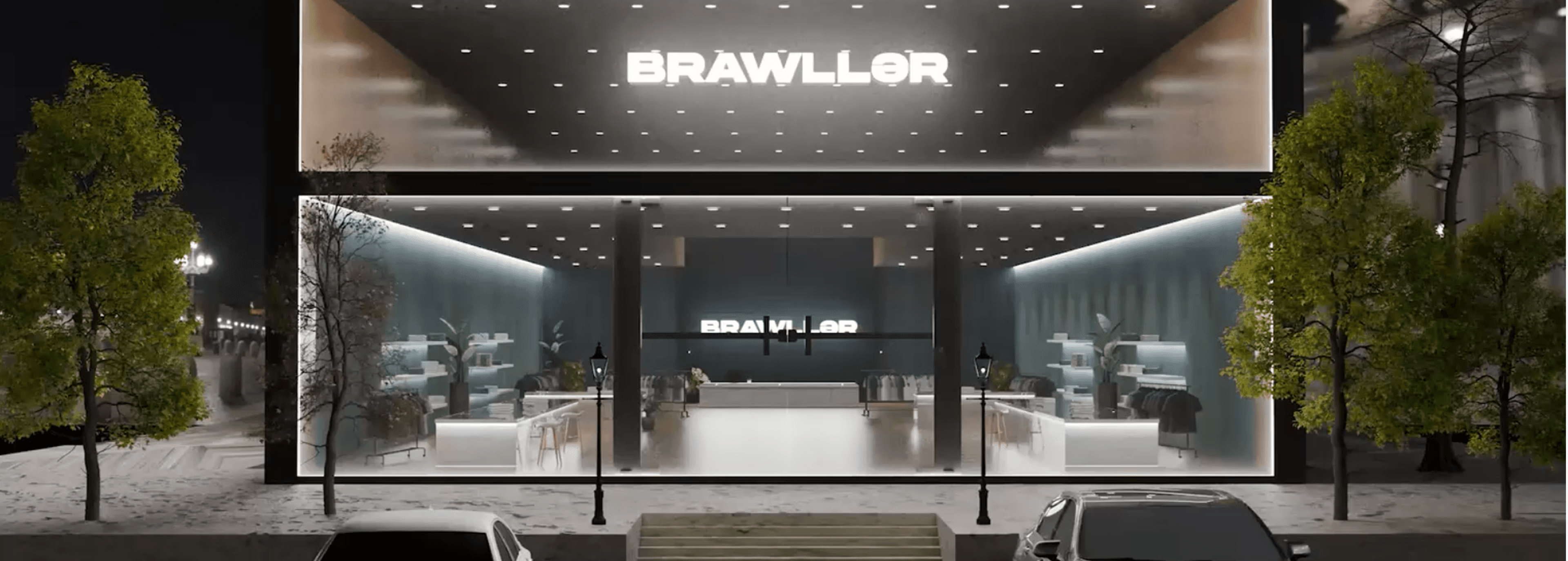 Brawller brand website intro video